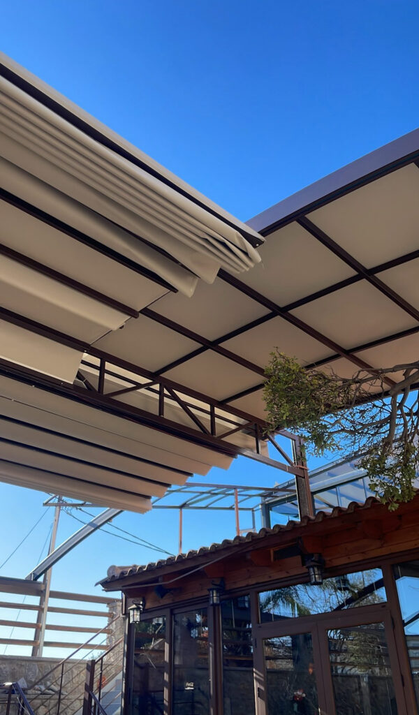 image00024 Image00024 600x1024